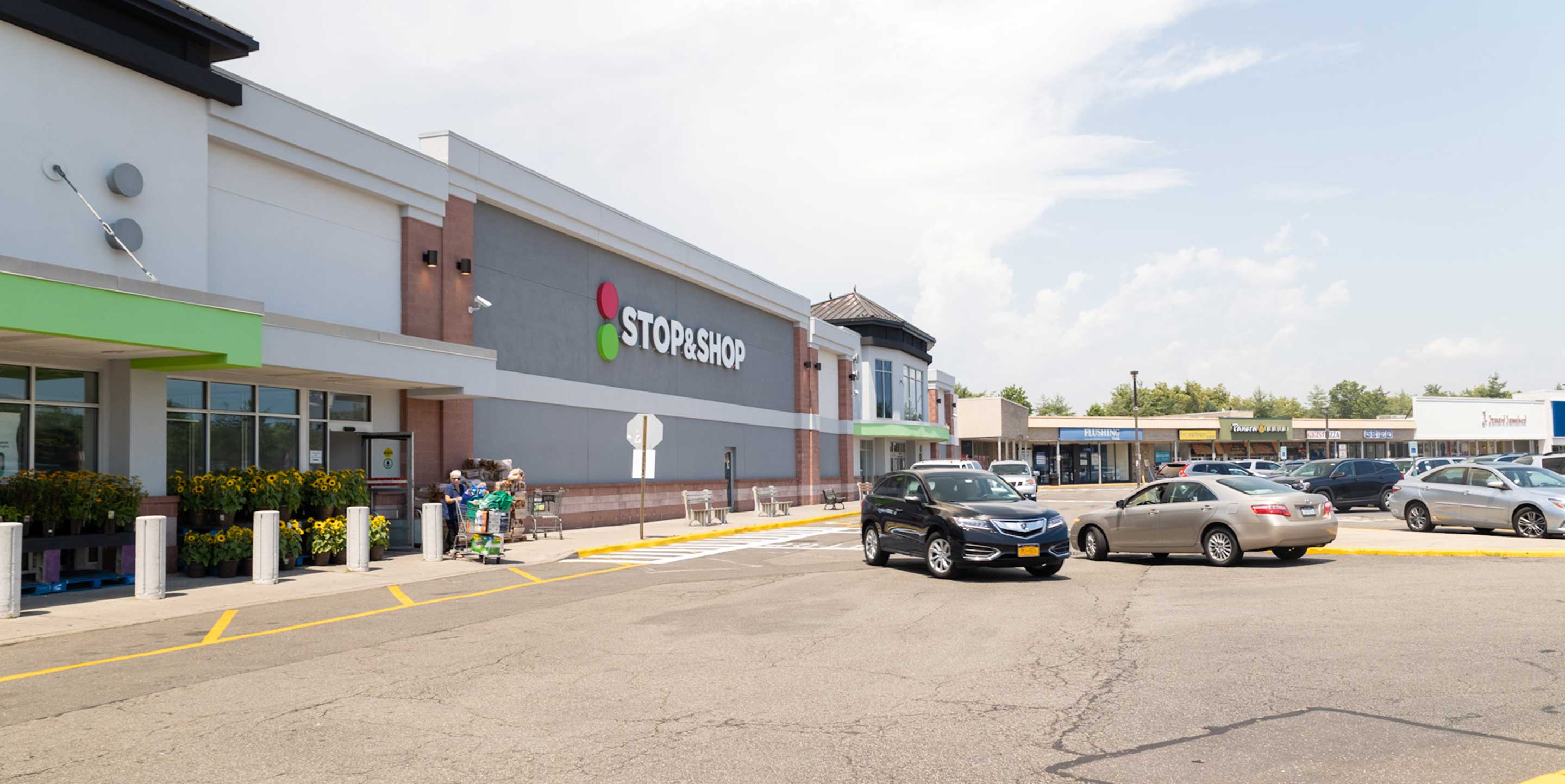 Image of New Hyde Park shopping center with various shops and parking spaces.