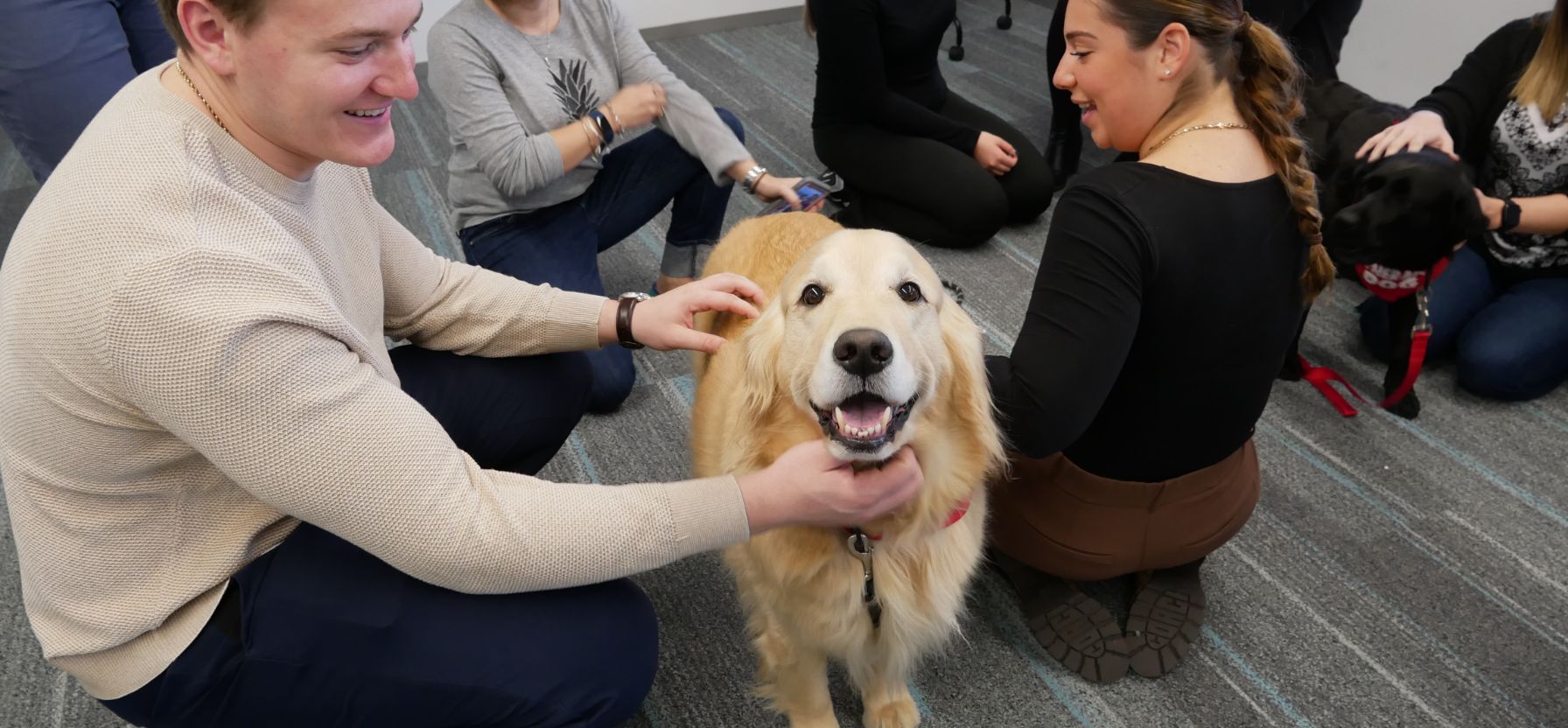 Staff members petting dogs