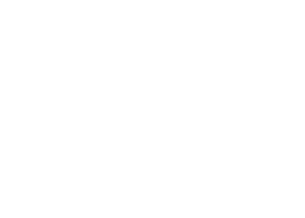 Burlington Stores logo