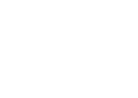 Dicks logo